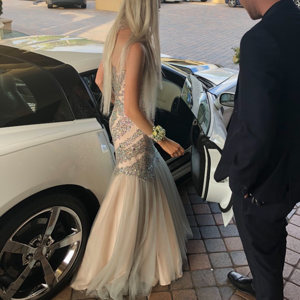 TERANI COUTURE PROM DRESS - Picture 5 of 5